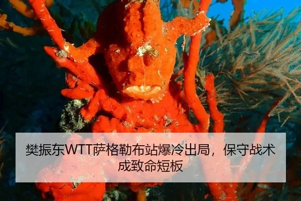 樊振东WTT萨格勒布站爆冷出局，保守战术成致命短板