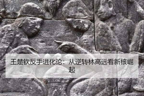 wang-chu-qin-fan-shou-jin-hua-lun-cong-ni-zhuan-lin-gao-yuan-kan-xin-he-jue-qi-2-145.jpg